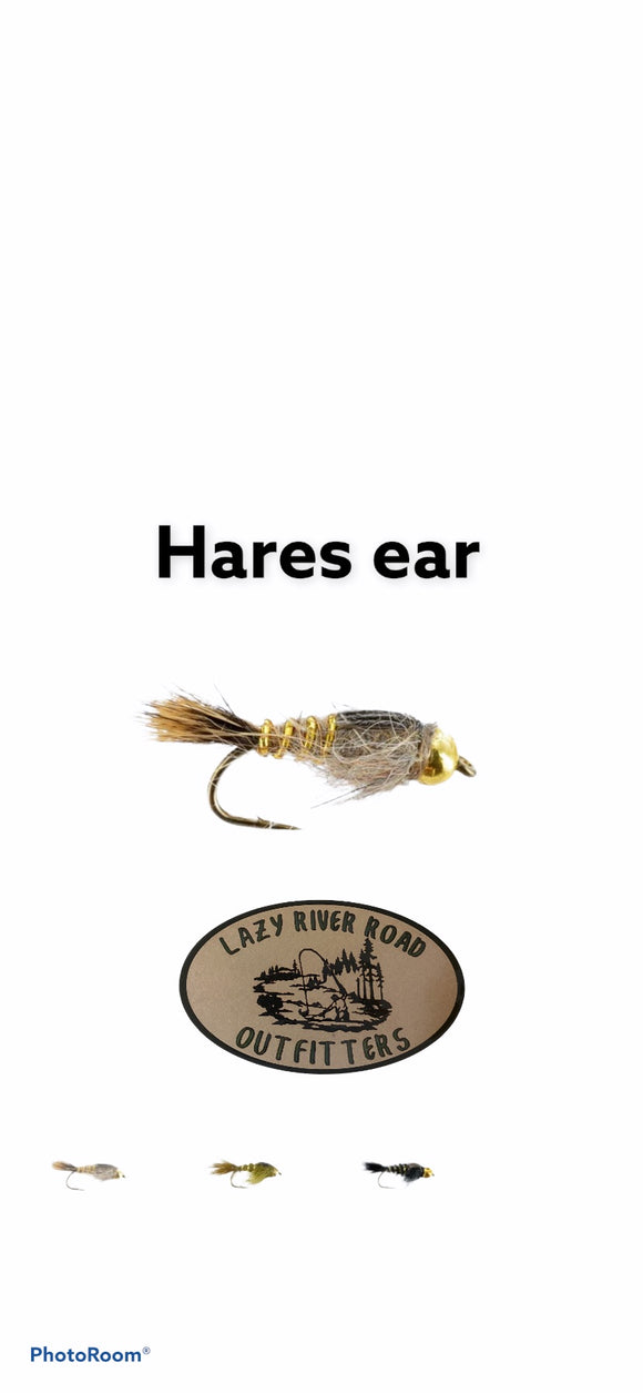 BH Hares Ear 1 dozen