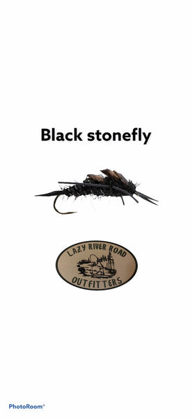 Realistic Black Stonefly Nymph